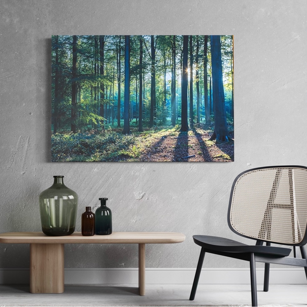 Picture Morning Hike 37” by 26” NEW!